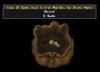 spellbook.jpg