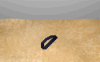 chaos sash.png chaos sash.png