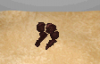 arms.png arms.png