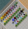 Full set of potted plants.jpg