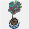 big glacial plant.jpg big glacial plant.jpg
