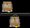 crystal.jpg