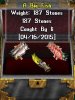 ii Big Fish.jpg