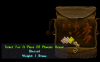 bucs phoenix bag 2.PNG