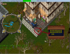 Yellow Bags.png
