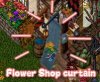 flower_shop_curtain.jpg