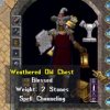 weathered_old_chest.jpg