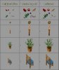saphireenas_hires_items2.jpg