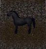 Horse Left.jpg
