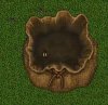 Mesanna Lantern.jpg