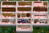 ExceptionalCollection.png ExceptionalCollection.png
