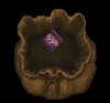coffin.JPG