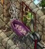 coffin1.PNG