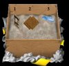 box.JPG