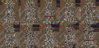 upload_2015-9-9_11-36-22.png