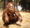 bigfoot_skullc.jpg