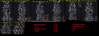 garg218.png