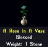 5b A Rose In A Vase - Special Color.jpg
