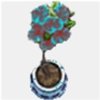 big glacial plant.jpg big glacial plant.jpg