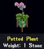 8a Potted Plant.jpg