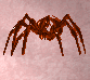 spider.png spider.png
