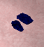wing.png wing.png