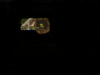new santa flower.png