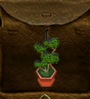 d green.png
