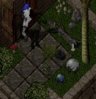 largeblackrock.jpg largeblackrock.jpg
