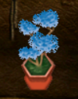 Glacial Plant.png