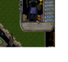 Shoes.png