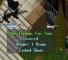 feelings for tree.JPG