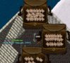 guildtsone.JPG guildtsone.JPG