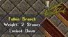 fallen branch.jpg