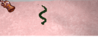 Screenshot - 1_26_2016 , 8_16_41 PM.png