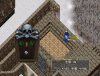 room.jpg