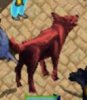 Red cu.jpg
