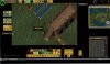 stablebankus.jpg