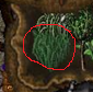 Pampas grass.png