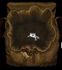 frog.JPG