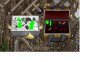 Rares.JPG