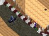 Garland.jpg