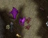 purplelama.JPG