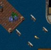cannon.jpg