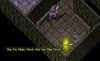 wrongmaze.JPG