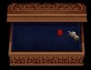 year of the dragon moon.JPG year of the dragon moon.JPG