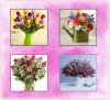 flower arrangements.jpg