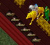unused tiles.png
