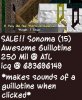 GUILLY2.jpg