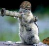 Sniper Squirrel3.jpg